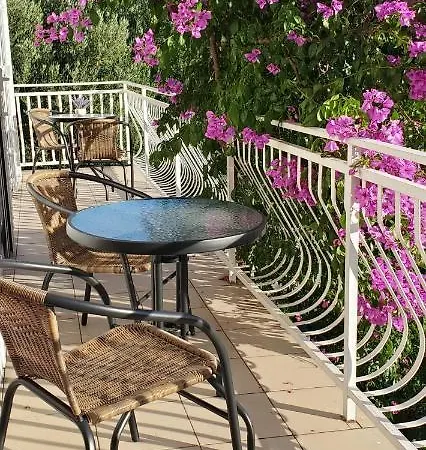 Dreams ماكارسكا